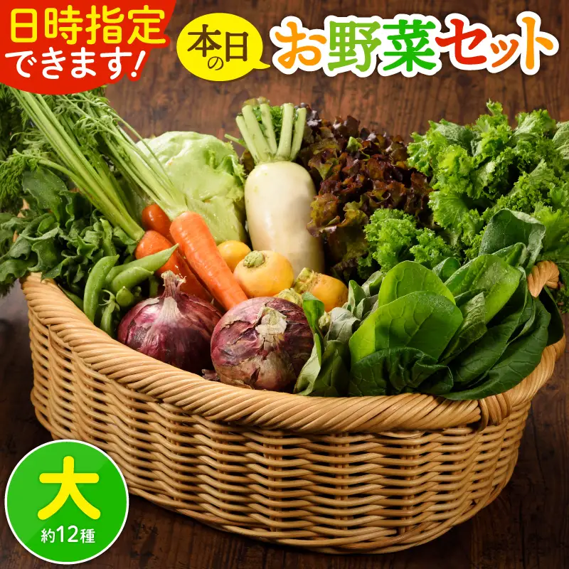 日時指定OK！本日のお野菜セット （大サイズ/約15～17種） 4人以上用 / 野菜 朝どれ 有機栽培 産地直送 新鮮 旬 詰め合わせ サラダ 果物 きのこ類 やさい 送料無料 【オーガニックのまち 宮崎県綾町】_A0053-009