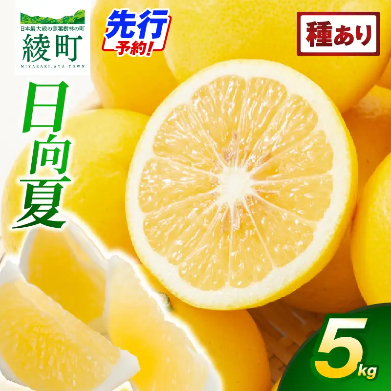 【先行受付】初春の旬「日向夏」種あり 5kg 果物 フルーツ くだもの 柑橘 フルーツサンド おやつ スイーツ デザート ジャム おすすめ ギフト 贈り物 贈答 プレゼント おすそ分け お返し 宮崎県 綾町 送料無料【JA綾町】_A0114-2481