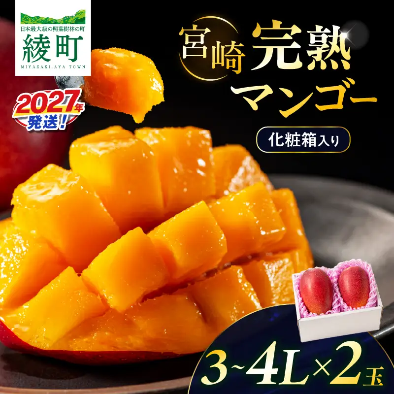 先行予約 完熟マンゴー 3～4L×2玉（化粧箱）マンゴー 宮崎 果物 フルーツ くだもの 2027年 国産 高級 マンゴージュース 南国フルーツ おすすめ デザート ギフト 贈り物 プレゼント 贈答 冷蔵 綾町 送料無料 【JA綾町】_A0114-2352
