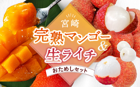 【先行予約】希少 完熟マンゴー＆生ライチセット / 宮崎県産 ライチ マンゴー【JA綾町】_A0114-2092