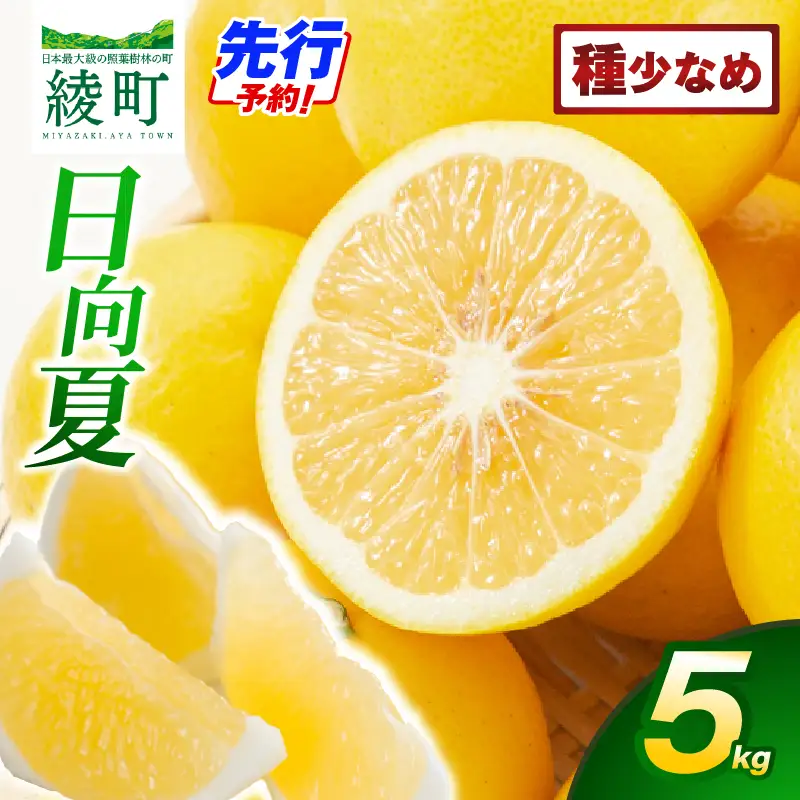 【先行受付】初春の旬「日向夏」種が少ない 5kg 果物 フルーツ くだもの 柑橘 フルーツサンド おやつ スイーツ デザート ジャム おすすめ ギフト 贈り物 贈答 プレゼント おすそ分け お返し 宮崎県 綾町 送料無料【JA綾町】_A0114-2431