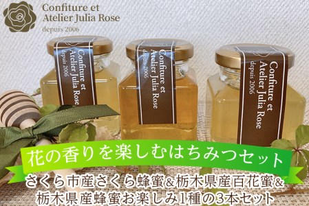 【花の香りを楽しむはちみつセット】さくら市産さくら蜂蜜＆栃木県産百花蜜＆栃木県産蜂蜜お楽しみ1種の3本セット｜はちみつ ハチミツ 自然 味比べ 食べ比べ◇