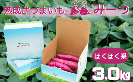 【予約受付中・2026年9月頃より順次発送】熟成さつまいも みーつ (ほくほく系) 3.0kg  ｜ なると金時 鳴門金時 甘い ホクホク 国産 熟成 産地直送 スイーツ 焼きいも スイートポテト おやつ 天ぷら 干し芋 ギフト お土産 おみやげ