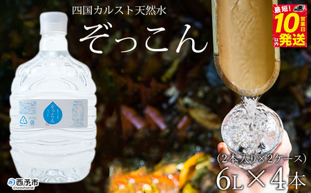 四国カルスト天然水ぞっこん（6L×2本）×2ケース 計4本 NZS0004
