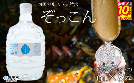 四国カルスト天然水ぞっこん（6L×2本）×4ケース 計8本 NZS0009