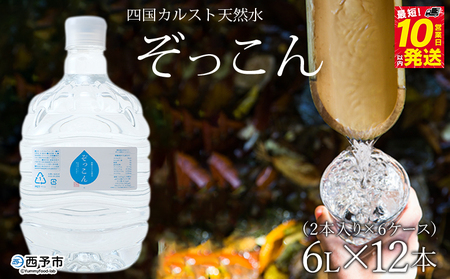 四国カルスト天然水ぞっこん（6L×2本）×6ケース 計12本 NZS0013
