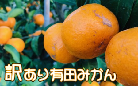 【数量限定】ご家庭用訳あり有田みかん　10kg 【ard001A】