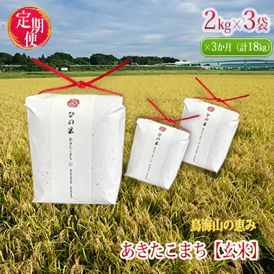 あきたこまち ひの米 玄米 秋田県産 あきたこまち【6kg(2kg×3袋)】【定期便 3ヶ月連続】