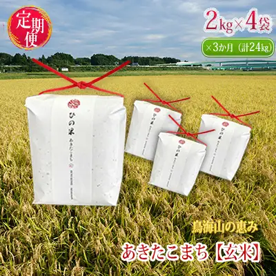 あきたこまち ひの米 玄米 秋田県産 あきたこまち【8kg(2kg×4袋)】【定期便 3ヶ月連続】