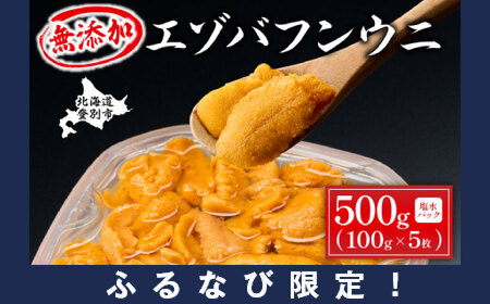【ふるなび限定】無添加 極上 エゾバフンウニ 塩水パック 500g 配送期間A：6月上旬～8月中旬 FN-Limited-PR