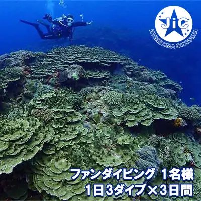 ダイビング 久米島ファンダイビング利用券1名様 1日3ダイブ×3日間 マリン アクティビティ
