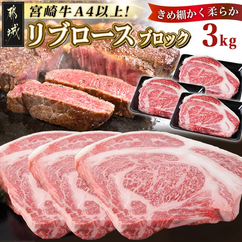 宮崎牛リブロースブロック3kg〔DI-2501〕_(都城市) 都城産宮崎牛 リブロースブロック ３kg 霜降り肉 ローストビーフ ステーキ ビーフカレー キャンプで豪快に 鉄板焼き 国産 ブランド牛 牛肉 ギフト 贈答用