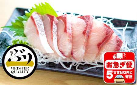AQ-4705-202605／【鹿児島産ぶり】冷凍・ぶり皮無ポーション（背腹計4p）