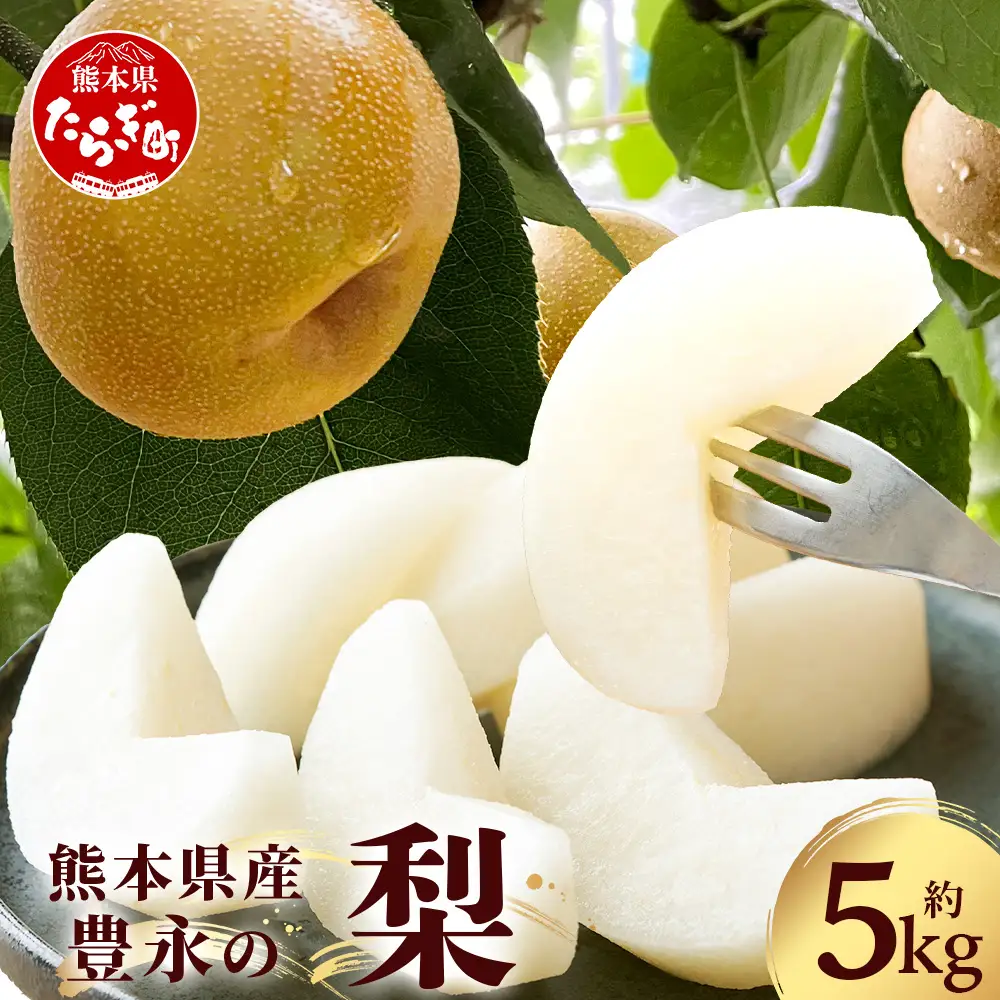 【2026年8月中旬～発送】豊永の 梨 約5kg 熊本 070-0592