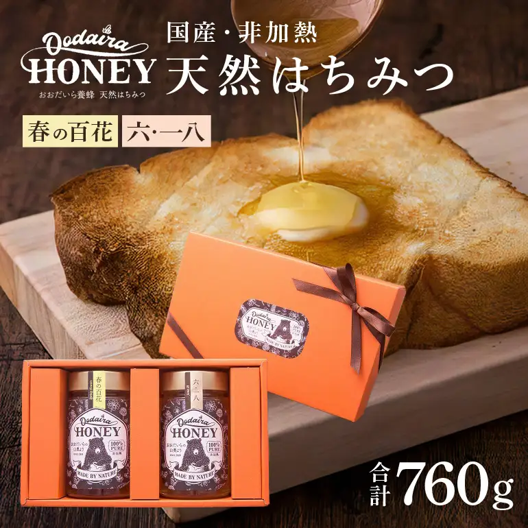 国産天然 非加熱はちみつ 380g 2本セット「春の百花」「6.18」
