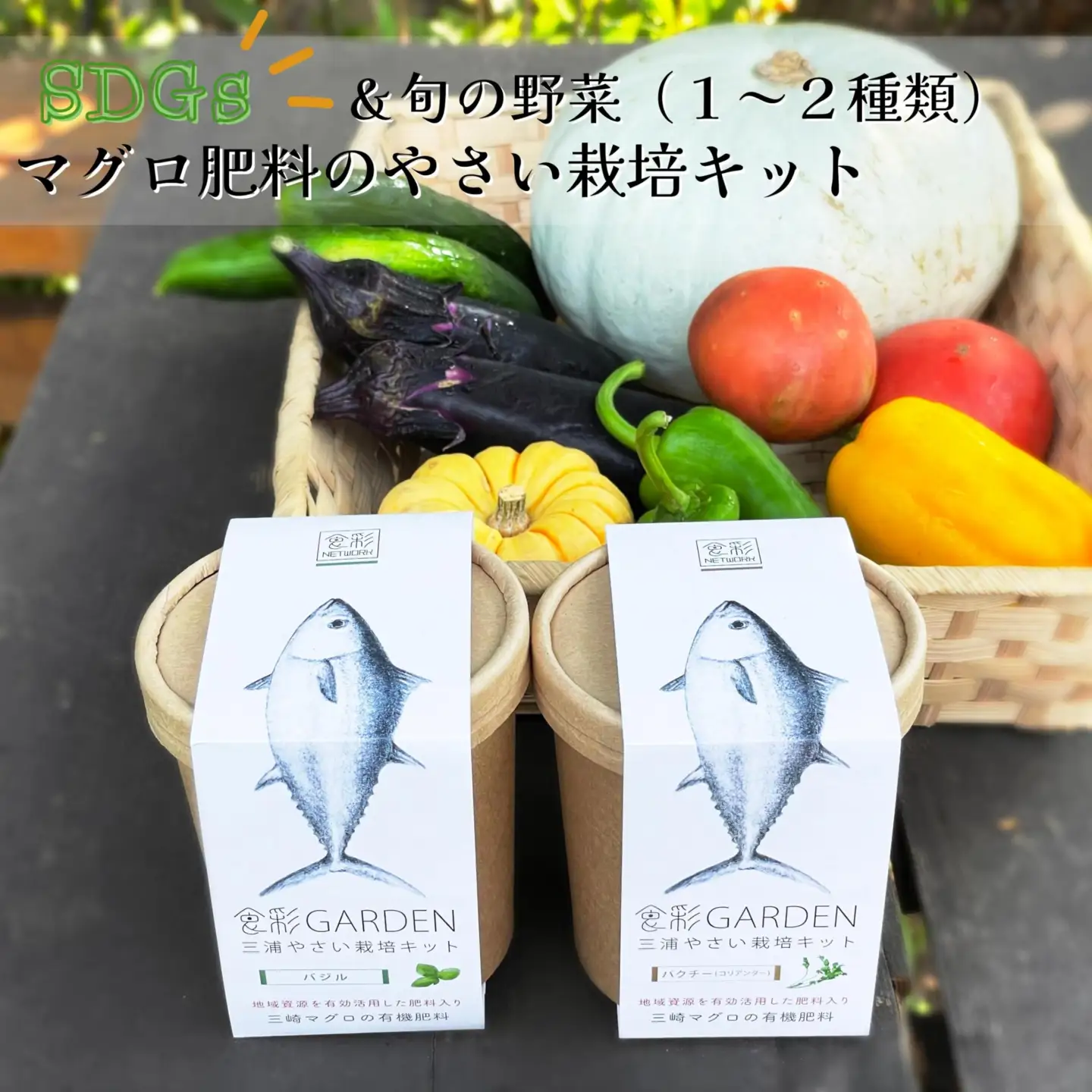 食彩GARDEN三浦やさい栽培キット＆旬野菜 M043-001 野菜 三浦野菜