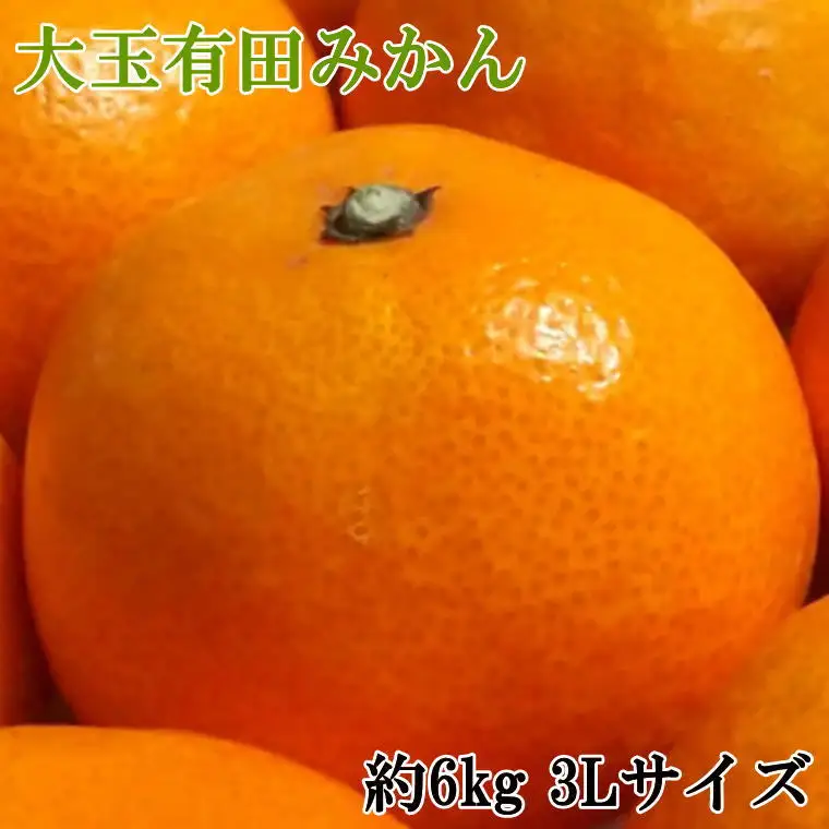 [秀品]和歌山有田みかん　6kg(3Lサイズ) ※2026年11月中旬～2027年1月中旬頃順次発送【tec836A】