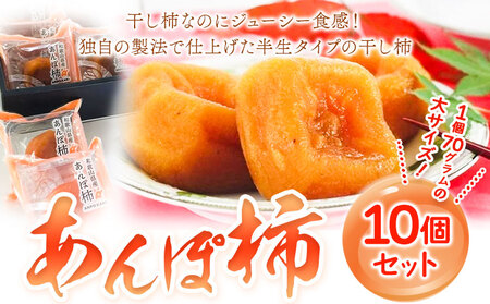 あんぽ柿 大10個セット JAわかやま 紀の里地域本部《90日以内に出荷予定(土日祝除く)》和歌山県 紀の川市 柿 果物 フルーツ
