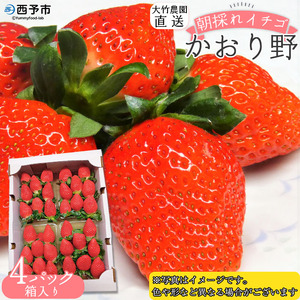 ＜イチゴ「かおり野」約280g×4パック 大竹農園直送＞ かおりの いちご 苺 果物 くだもの フルーツ ストロベリー 旬 季節限定 特産品 産地直送 愛媛県 西予市【冷蔵】『2025年12月～2026年4月中旬迄に順次出荷予定』UON0001