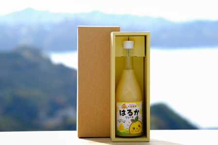 愛媛県明浜産 天晴みかんジュース（はるか） 1本 AAN0004