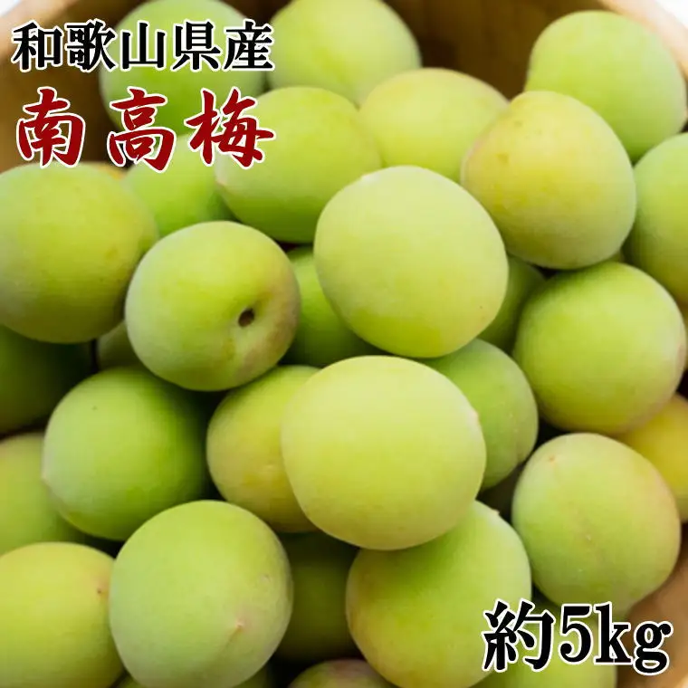 【和歌山名産】南高梅　約5kg（サイズ混合）　梅干し ウメ うめ　※2027年6月上旬～2027年6月下旬頃に順次発送 【tec913B】