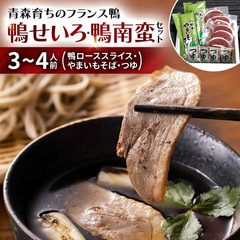鴨せいろ・鴨南蛮セット(3～4人前)_肉 鴨肉  かも カモ ダック  麺 そば  ソバ 蕎麦_【配送不可地域：離島】【1288682】