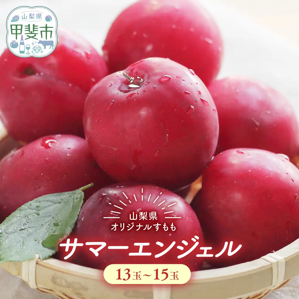 【☆先行予約☆2025年/令和7年発送分】 サマーエンジェル 山梨 サマーエンジェル すもも AV-20