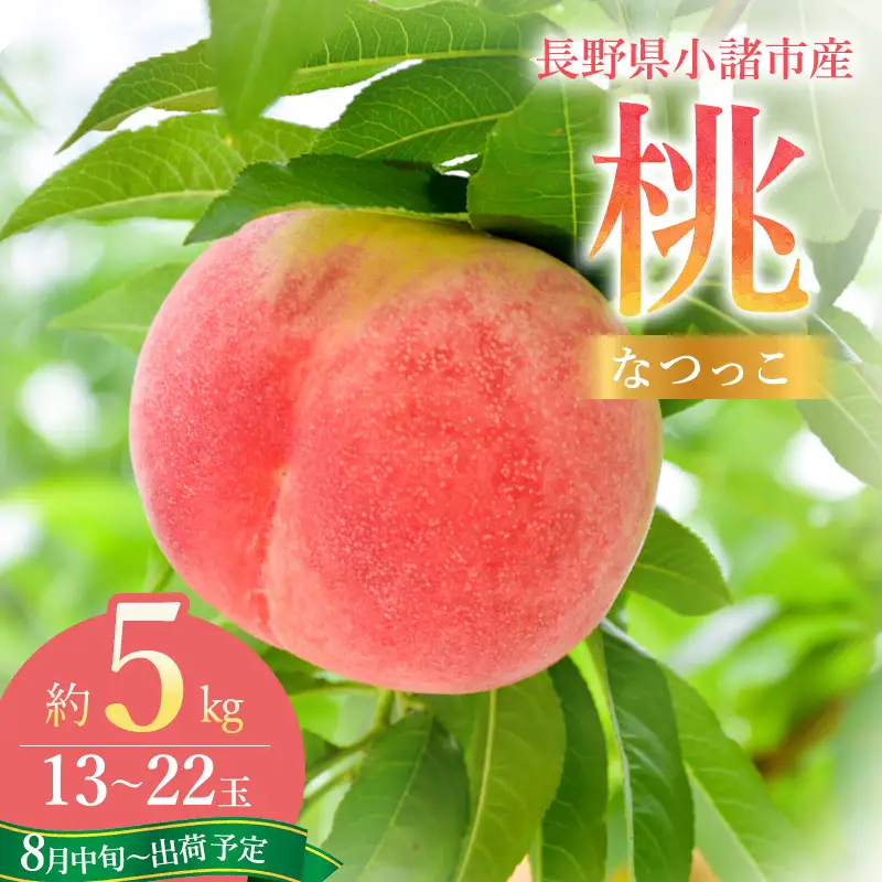 桃 なつっこ 約5kg 13～22玉 フルーツ 果物 白桃