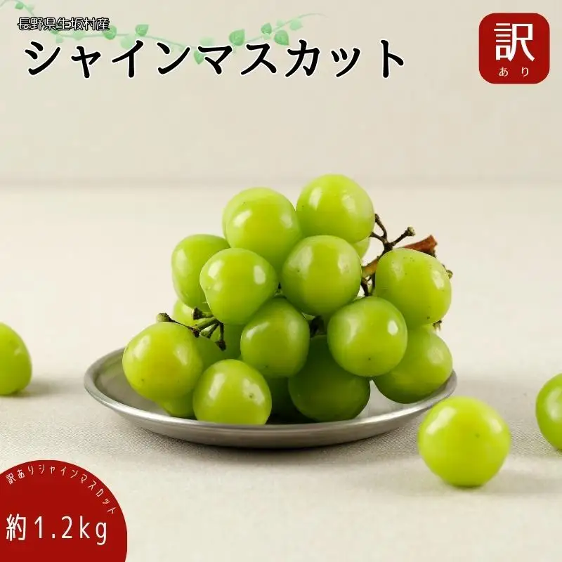 【2026年先行予約】 訳ありシャインマスカット 約1.2kg (バラ房)  株式会社野の香 | 訳ありシャインマスカット