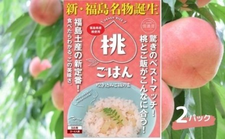 No.1996桃ごはん　炊き込みご飯の素　2パック