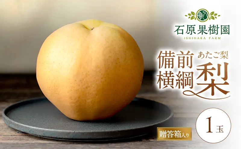 梨 2026年 備前横綱梨（あたご梨） 1玉 (1～1.4kg) 贈答箱  岡山県産 梨