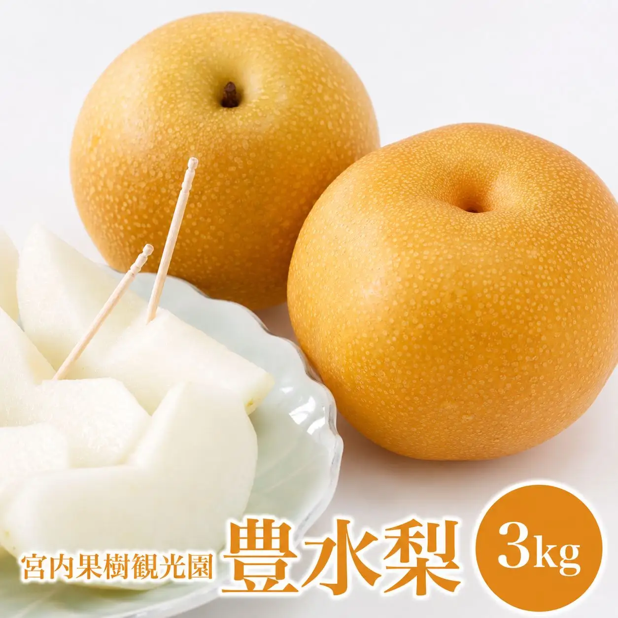 【先行予約】【数量限定】 宮内果樹観光園の豊水梨 約3kg | フルーツ 果物 くだもの 梨 なし ナシ 豊水 豊水梨 産地直送 国産 大分県 中津市