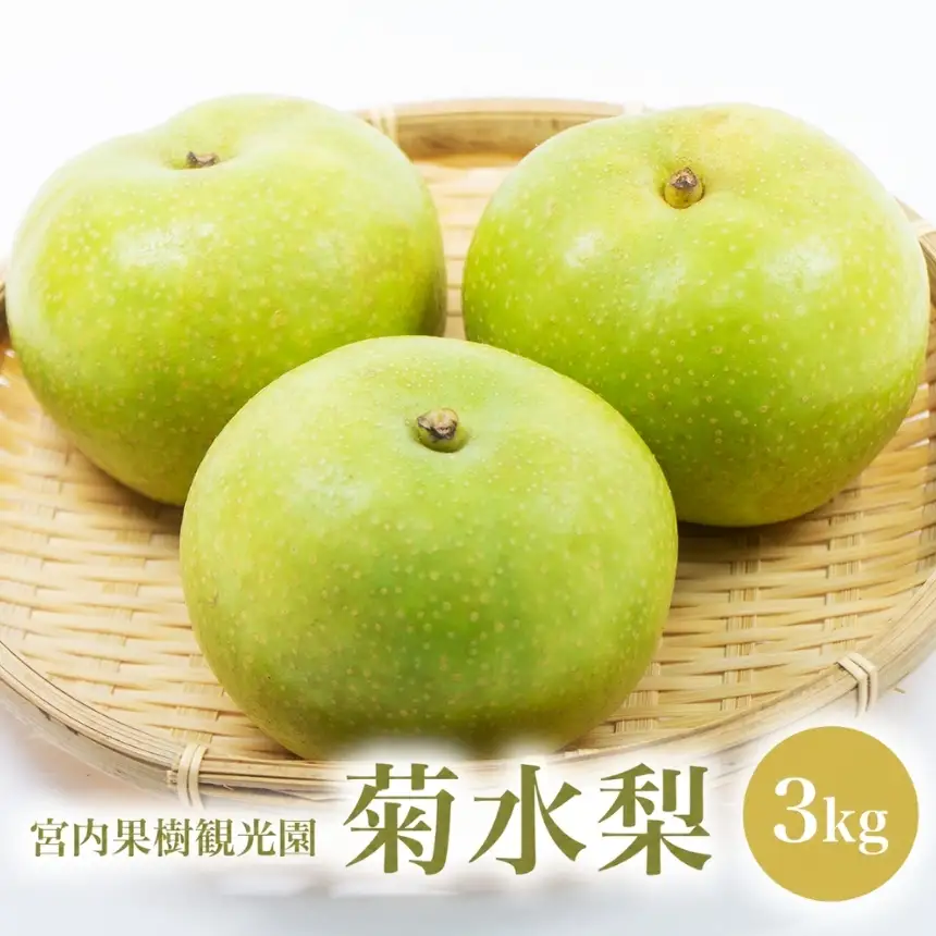 【先行予約】【数量限定】宮内果樹観光園の菊水梨 約3kg | フルーツ 果物 くだもの 梨 なし ナシ 菊水 菊水梨 産地直送 国産 大分県 中津市