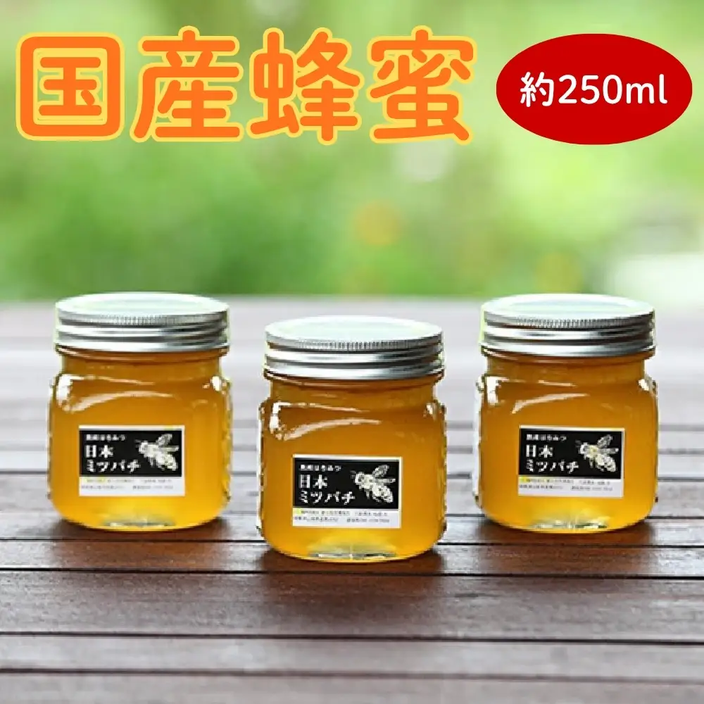 国産蜂蜜　約250ml [No.351]