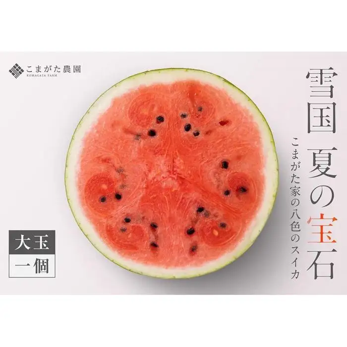 【2026年7月下旬〜8月上旬順次発送予定】高級南魚沼八色産スイカ「こまがた家の八色のスイカ」プレミアム大玉 1玉【西瓜 スイカ すいか 大玉 季節限定 果物 フルーツ ギフト 名産地 産地直送 シャキシャキ 厳選 デザート 新潟県】