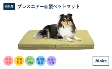 高反発ブレスエアー製 ペットマット Mサイズ 近江化成工業株式会社 滋賀県 東近江市 G21 シニア犬 体圧分散 床ずれ防止 洗える 通気性 介護 犬用