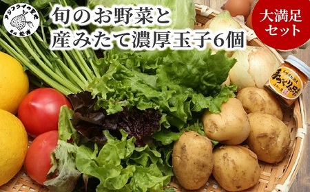 旬のお野菜と産みたて卵6個の大満足セット【A8-039】