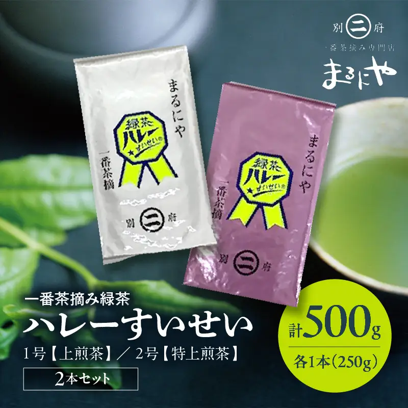 一番茶摘み緑茶ハレーすいせい1号(上煎茶)250g・2号(特上煎茶)250g 2本セット_B079-001