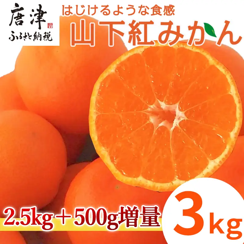 『先行予約』【令和8年11月発送】山下紅みかん(ハウス栽培) 唐津産 3kg ミカン 蜜柑 果物 フルーツ