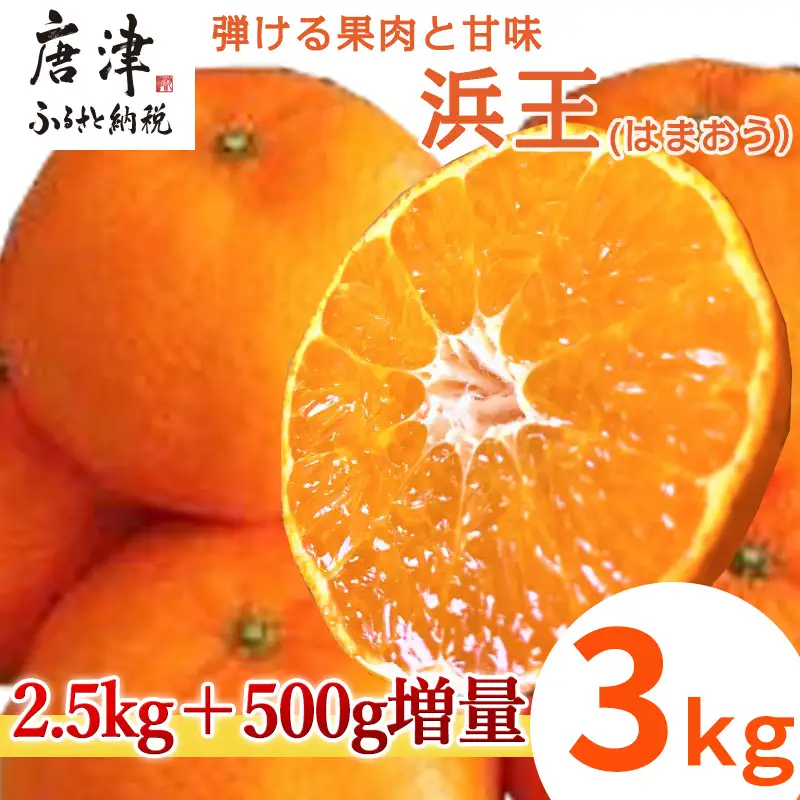 『先行予約』【令和9年1月下旬発送】浜王(はまおう) ハウス栽培 唐津産 3kg 口之津(くちのつ) 39号みかん
