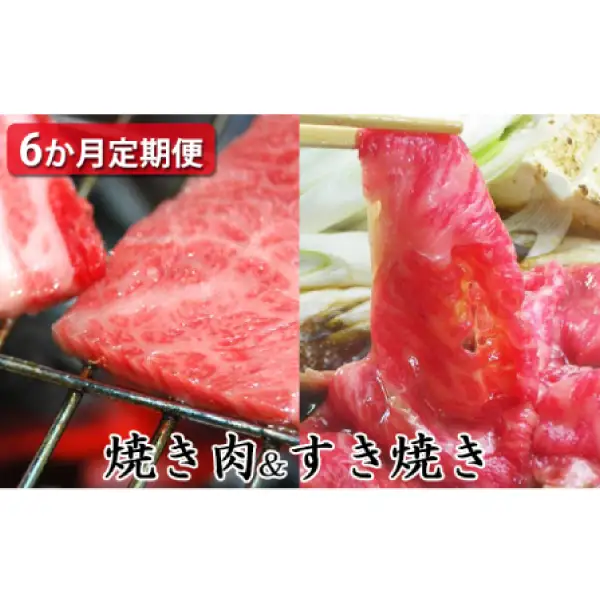 【定期便6ヶ月】石見和牛でちょっと贅沢！焼肉・すき焼き定期便（合計約2.6kg）