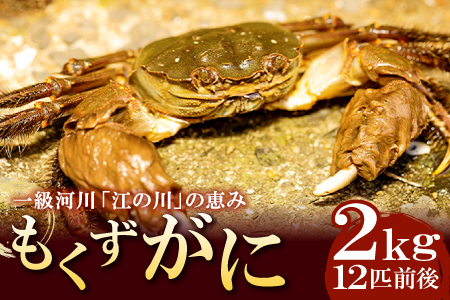 【先行予約】島根県産 もくずがに 約2kg