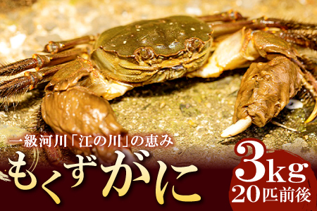 【先行予約】島根県産 もくずがに 約3kg