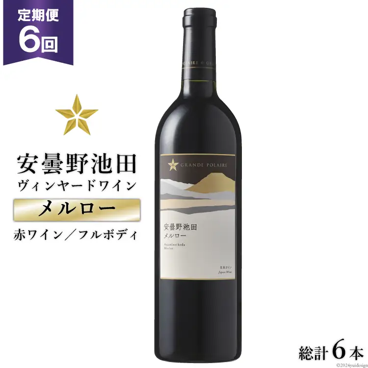 6回 定期便 赤ワイン サッポロ グランポレール 安曇野池田ヴィンヤード「メルロー」750ml 総計6本