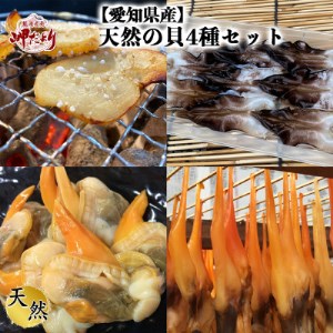 愛知県産 天然の貝4種セット [配送不可地域：離島]