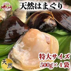 はまぐり 500g×4袋 はまぐりはまぐりはまぐり 岬だより