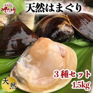 岬だより 希少 天然はまぐり 3種セット 1.5kg [配送不可地域：離島]