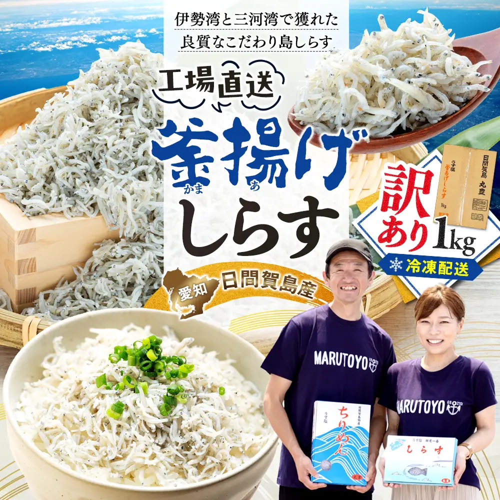 訳あり 釜揚げしらす 1kg 冷凍 愛知県南知多町 日間賀島