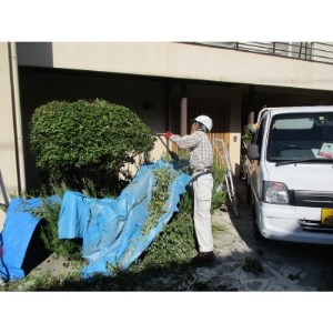 剪定作業　9,000円引きクーポン