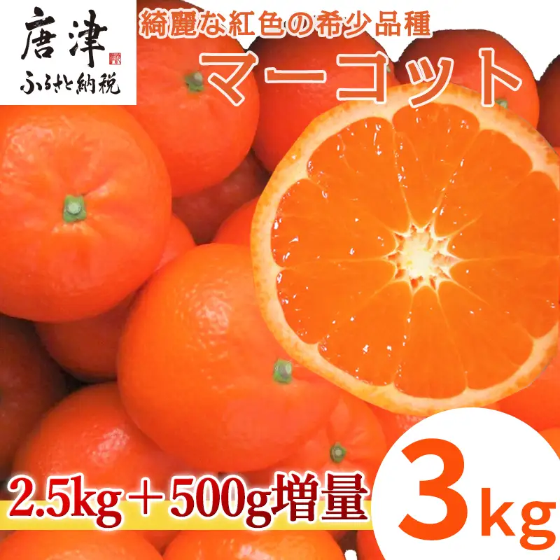 『先行予約』【令和9年2月中旬発送】マーコット(ハウス栽培) 唐津産 3kg